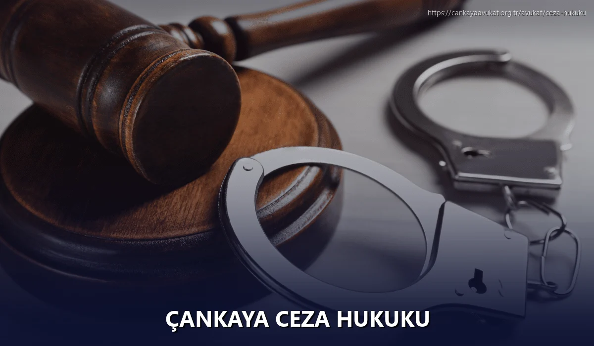 Çankaya Ceza Hukuku